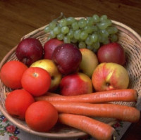 Živá chemická továrna